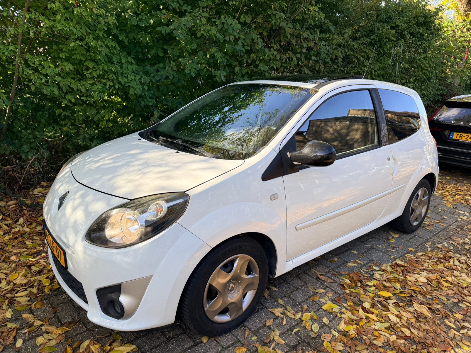 Renault Twingo Dynamique 1.2 16V 2009 Wit lees tekst, Voorwielaandrijving, 31 €/maand, 4 cilinders, 4 stoelen