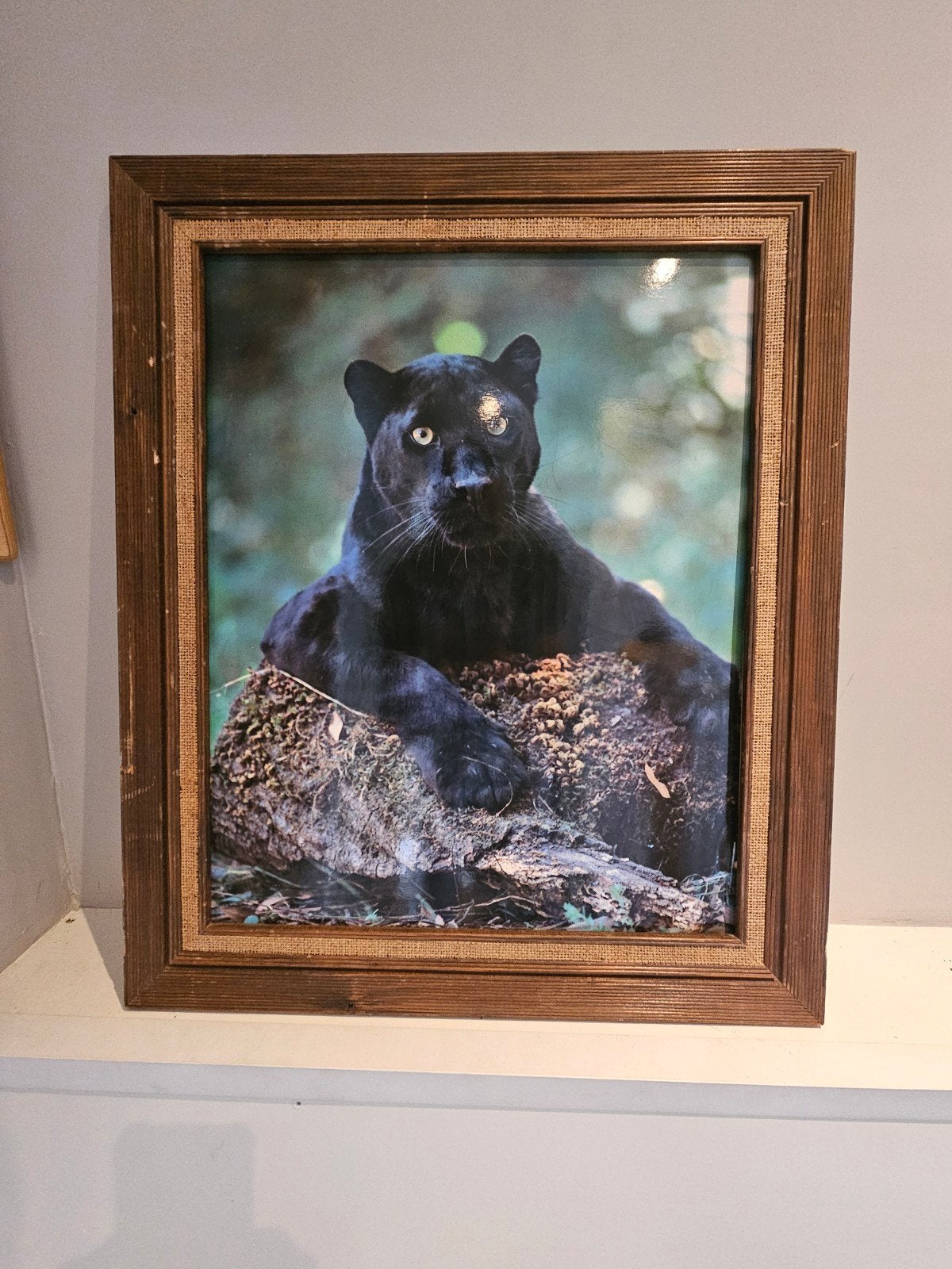 Ingelijste foto van een zwarte panter, Ophalen, Foto, Fotografie, Ingelijst