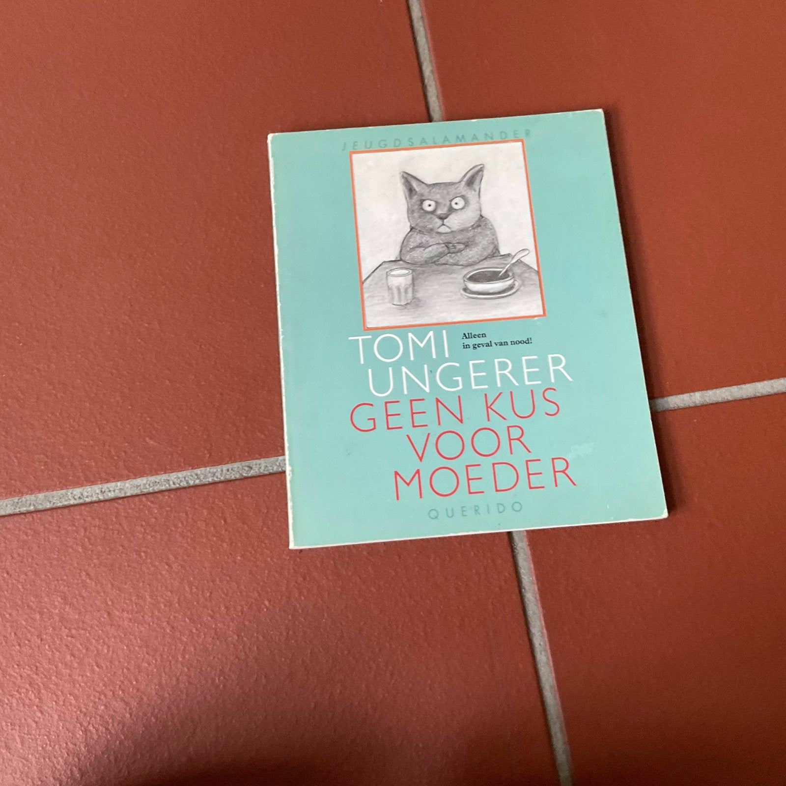 Tomi Ungerer - Geen Kus Voor Moeder (Jeugdsalamander), Boeken, Ophalen of Verzenden, Gelezen, Fictie algemeen