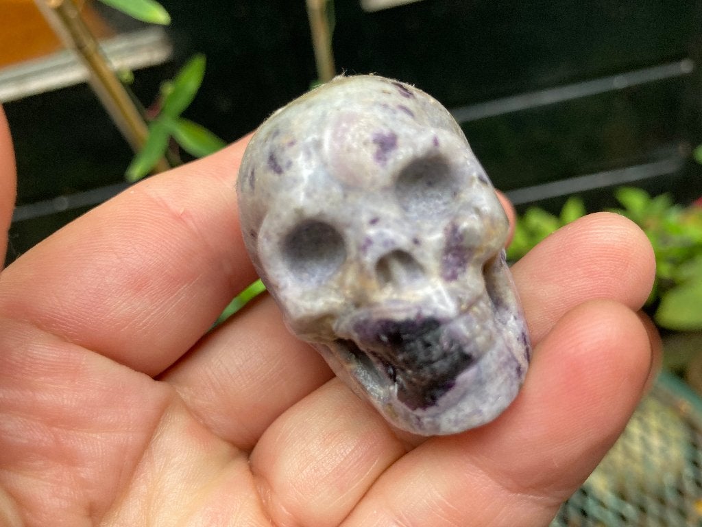 Kristallen Schedel van Sugiliet *Purple Kiss*, Ophalen of Verzenden, Mineraal