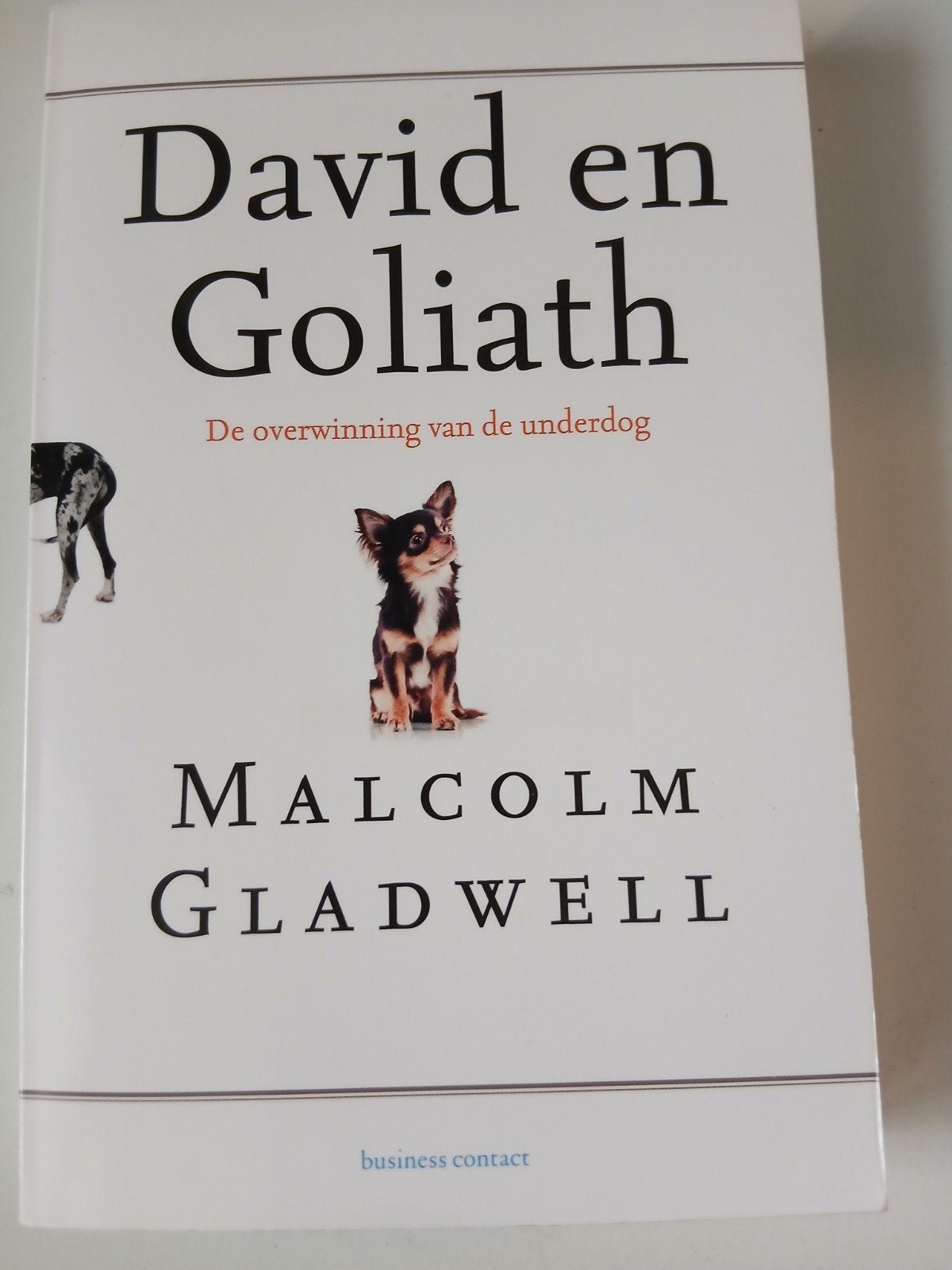 David en Goliath - Malcolm Gladwell (Boek), Ophalen of Verzenden, Zo goed als nieuw, Malcolm Gladwell, Nederland