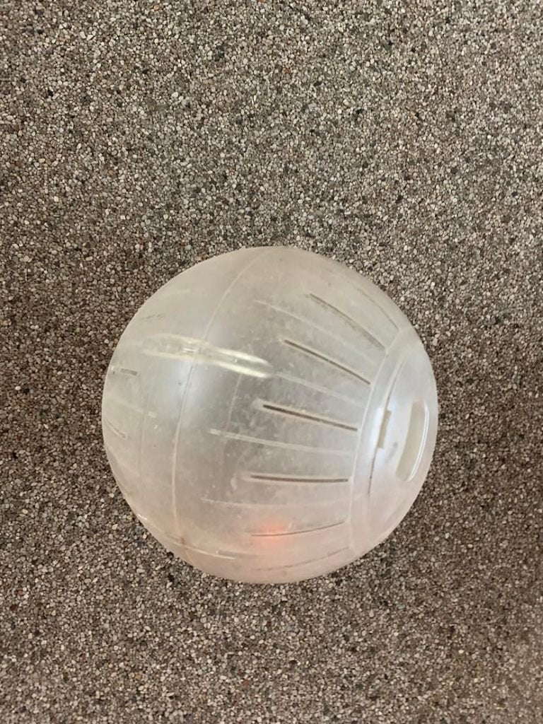 Hamsterbal, Ophalen of Verzenden, Zo goed als nieuw, Loopwiel of Rad