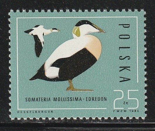 Polen 1985 - Eenden, Ophalen, Polen, Postfris