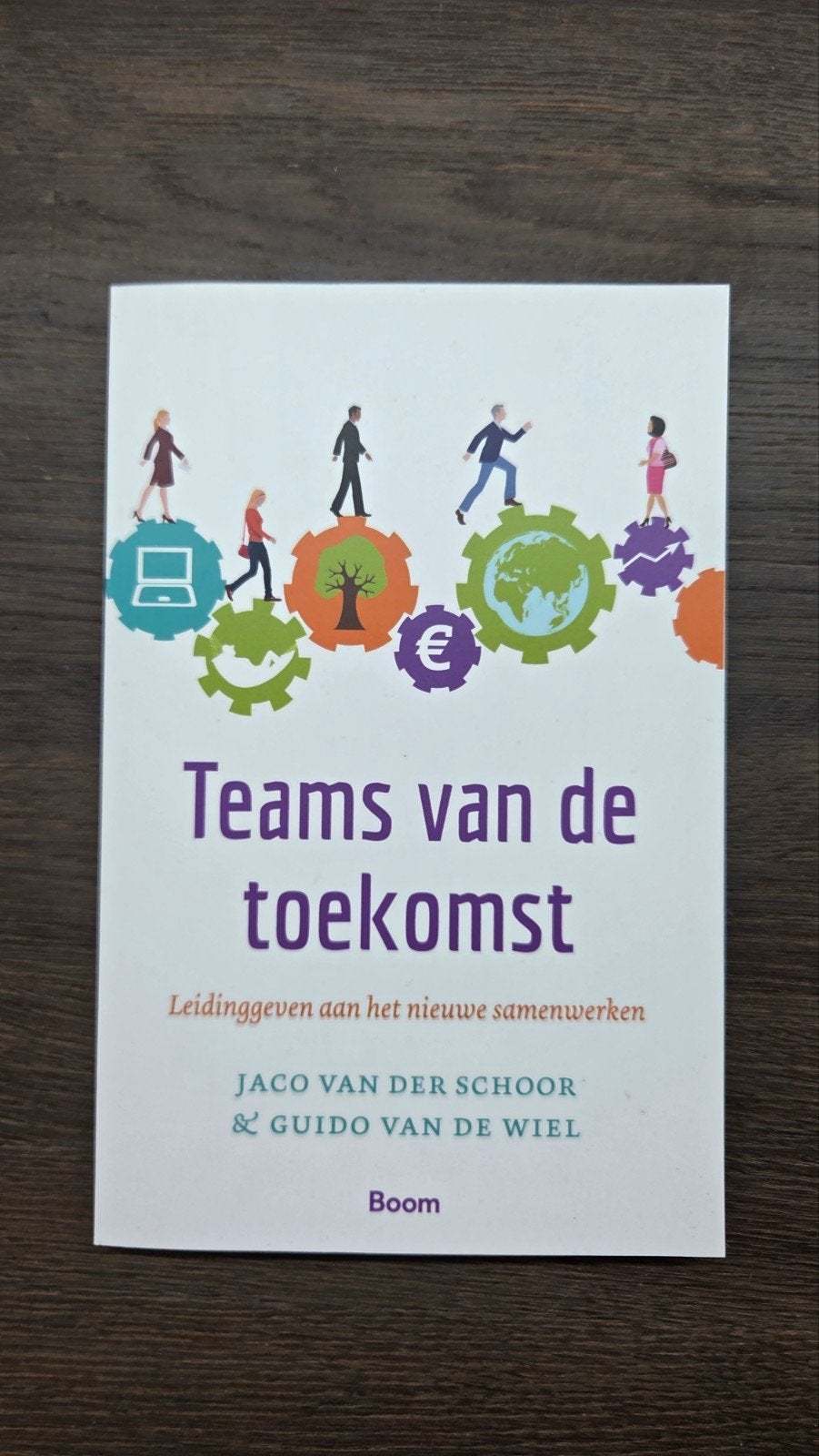 Teams van de Toekomst, Ophalen of Verzenden, Zo goed als nieuw, Management, Jaco van der Schoor & Guido van de Wiel
