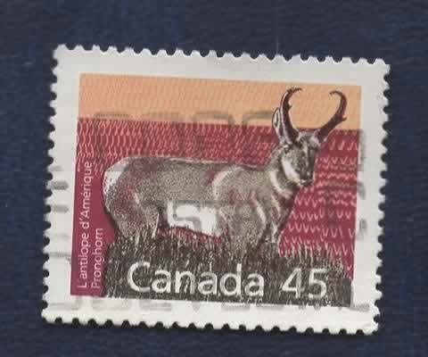 Fauna - Dieren - Amerikaanse Gaffel-Antilope - Canada - gebr, Verzenden, Gestempeld, Dier of Natuur