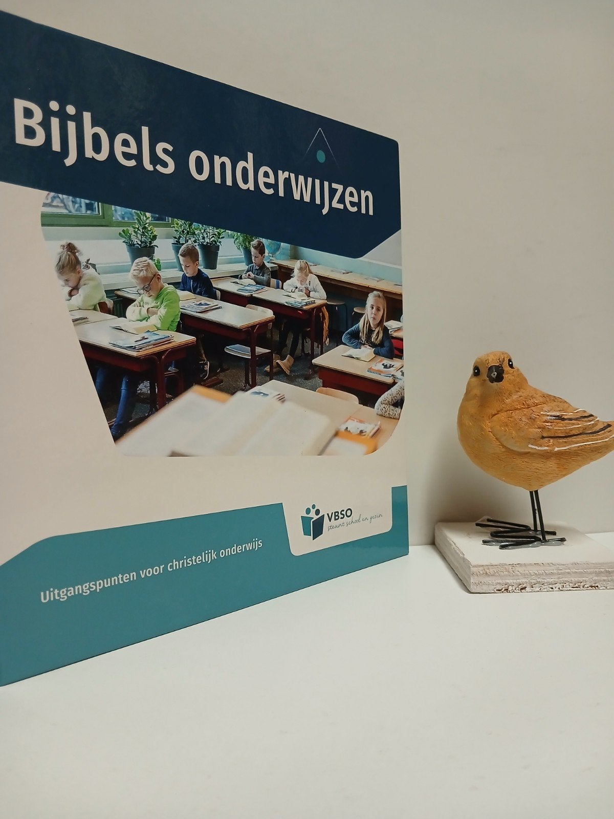 Bronkhorst, Arno; Bijbels onderwijzen (alleen Tekstboek), Ophalen of Verzenden, Gelezen, Overige onderwerpen