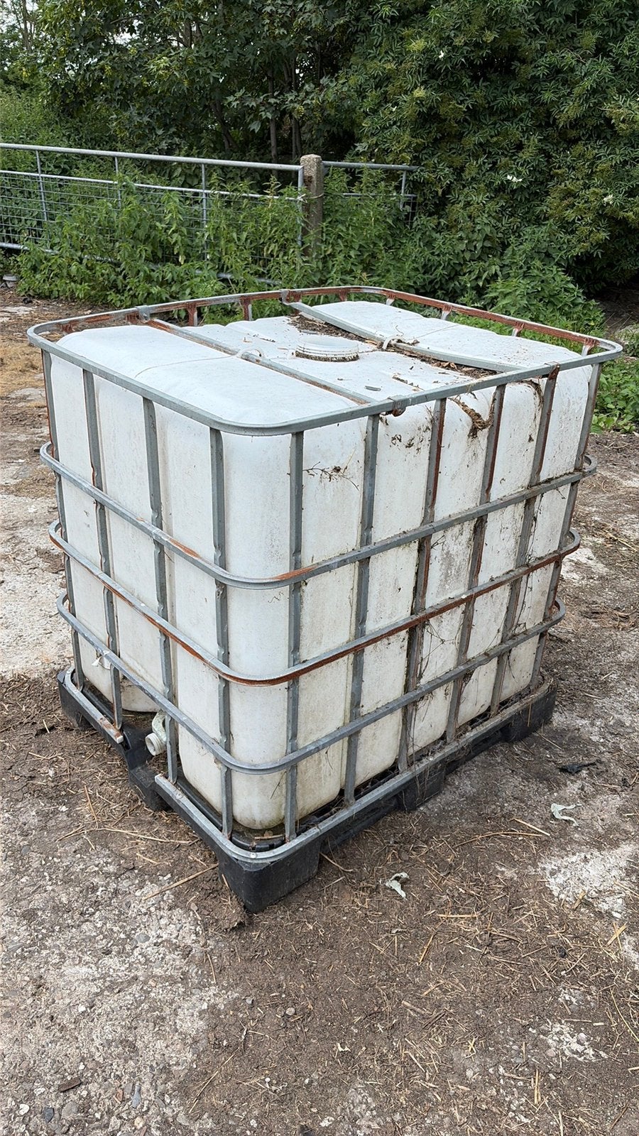 IBC-container 1000L, Tuin en Terras, Regentonnen, Gebruikt, 150 liter of meer, Met kraantje, Ophalen