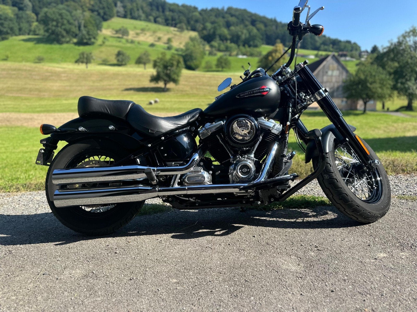 Harley-Davidson Softail Slim FL-SL, Motoren, Motoren | Harley-Davidson, 2 cilinders, Gebruikt, Particulier, Meer dan 35 kW