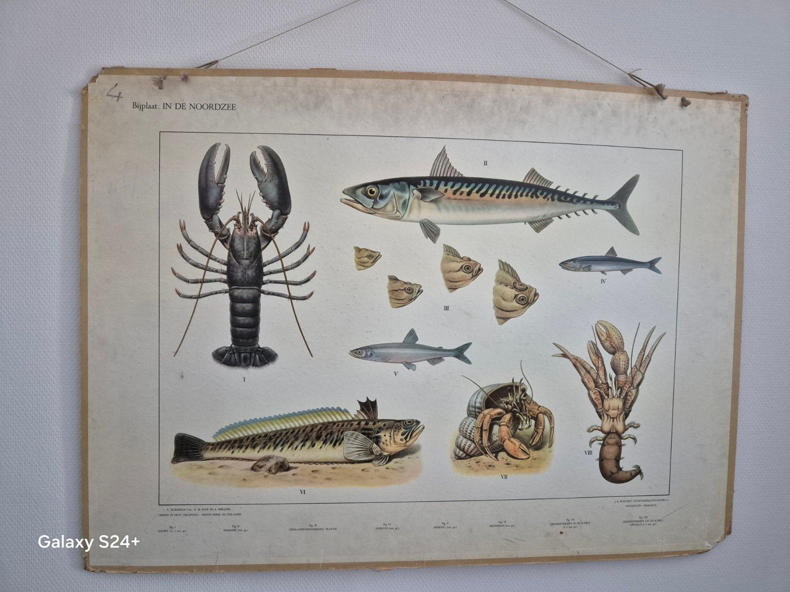 Vintage school- "Bijplaat : IN DE NOORDZEE", Ophalen, Gebruikt, Oorspronkelijke maker, Schilderij