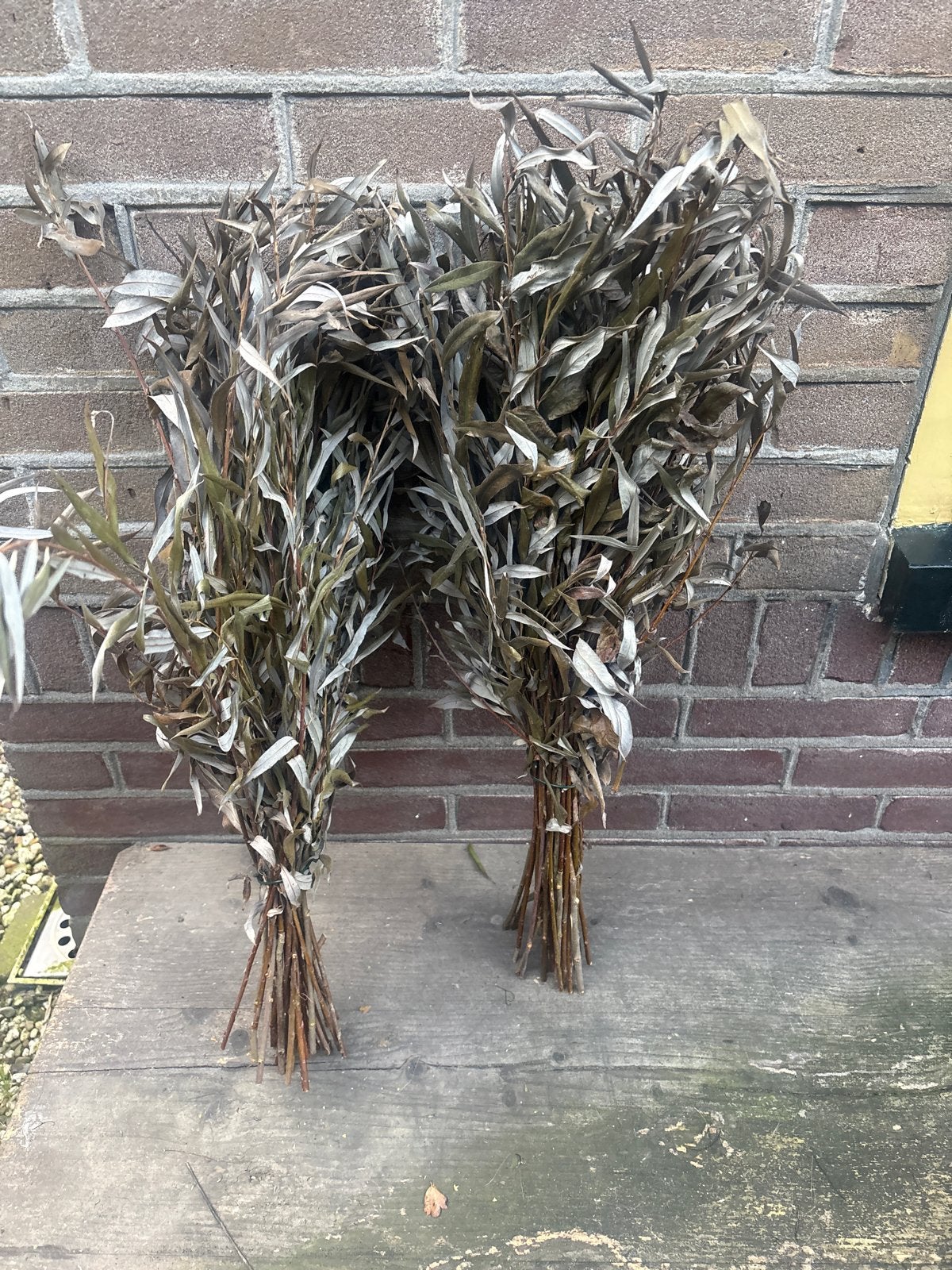 Decoratieve wilgentakken - 2 bundels, Ophalen of Verzenden, Gebruikt