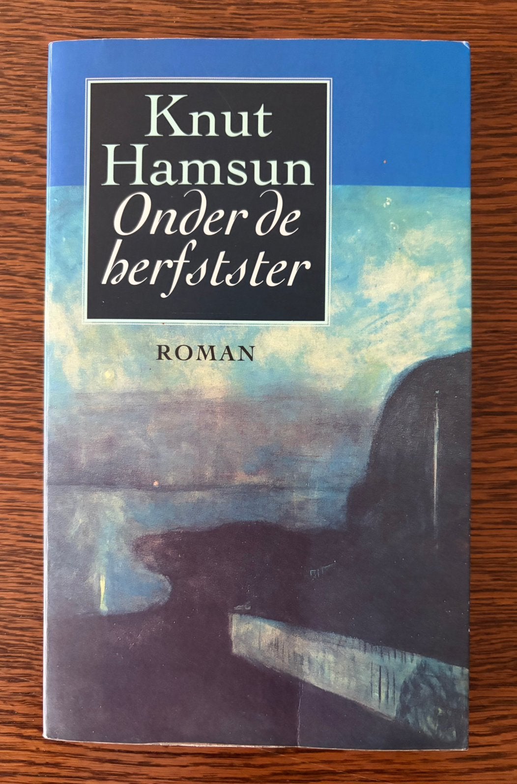 Knut Hamsun - Onder de herfstster, Boeken, Gelezen, Europa overig, Ophalen of Verzenden, Knut Hamsun