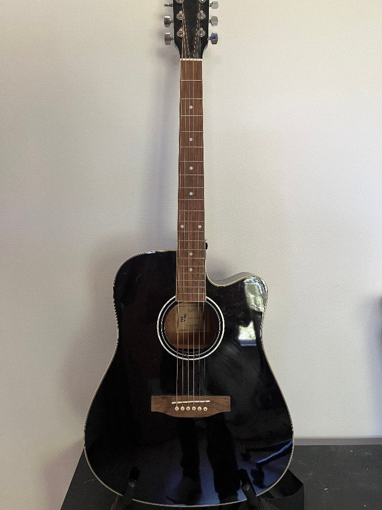 Harley Benton Gitaar (en Ukelele), Muziek en Instrumenten, Ophalen, Gebruikt, Hollow body, Overige merken