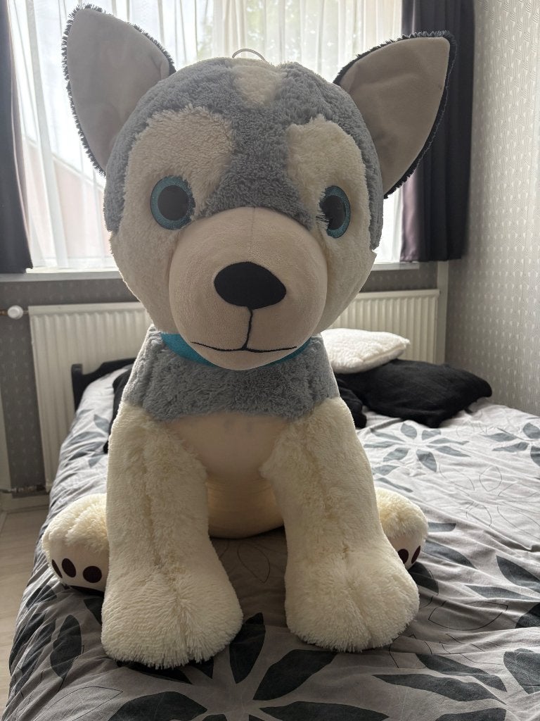 Grote knuffel, Ophalen, Zo goed als nieuw, Hond, Groot (groter dan 80 cm)