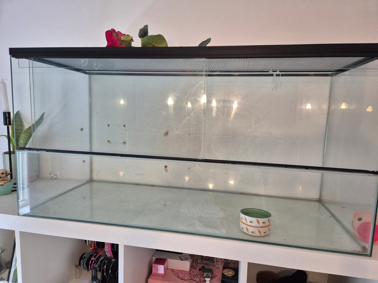 hamster terrarium 100x40x50 cm (lxbxh), Gebruikt, 75 tot 110 cm, Ophalen, Minder dan 60 cm