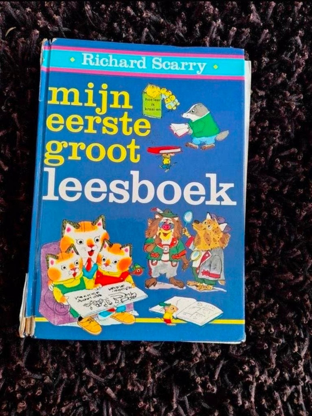 Mijn eerste groot leesboek - Richard Scarry, Boeken, Kinderboeken | Jeugd | onder 10 jaar, Ophalen of Verzenden, Gelezen, Richard Scarry