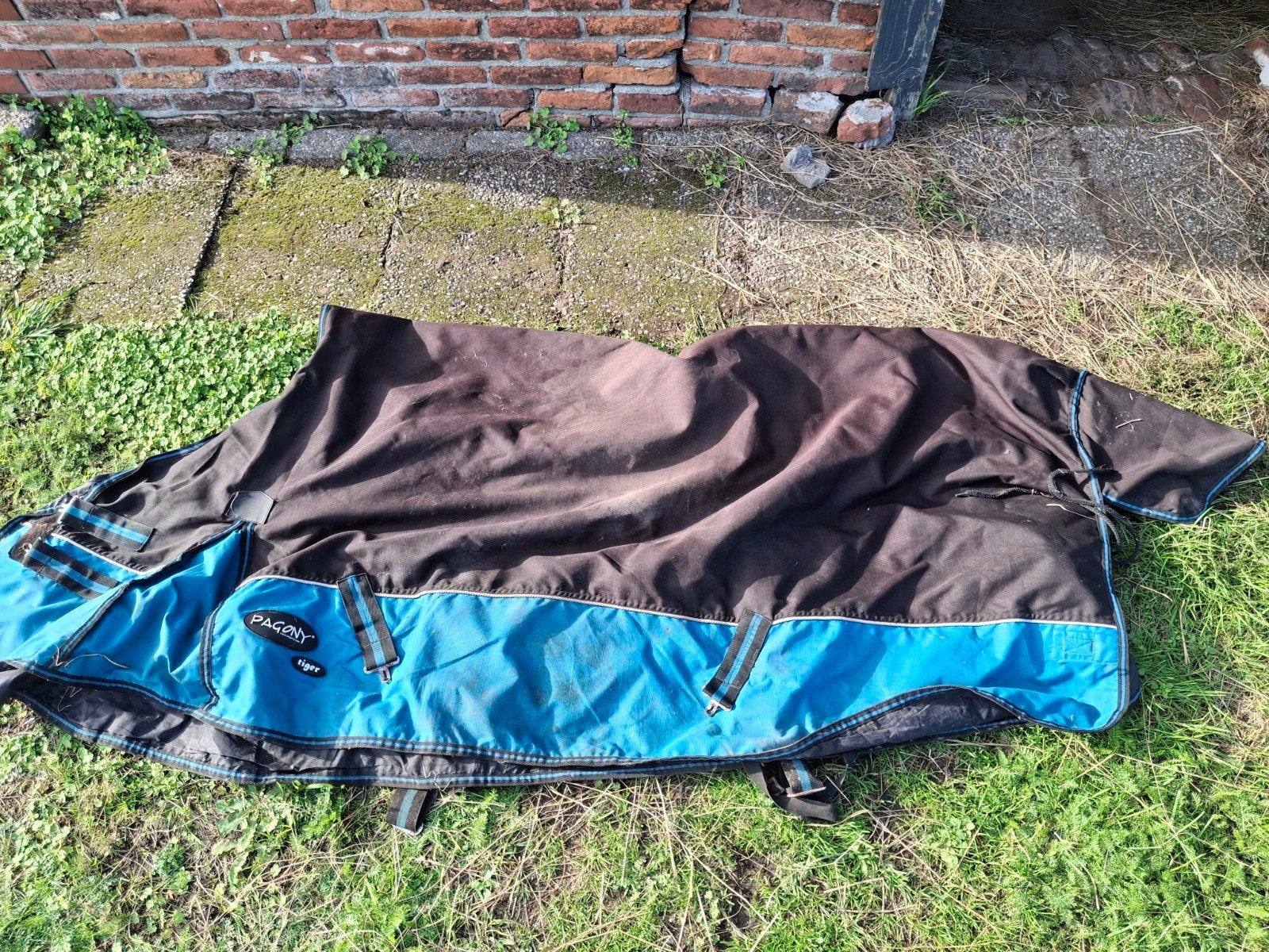 Pagina regendeken 195, Ophalen of Verzenden, Gebruikt, Regendeken