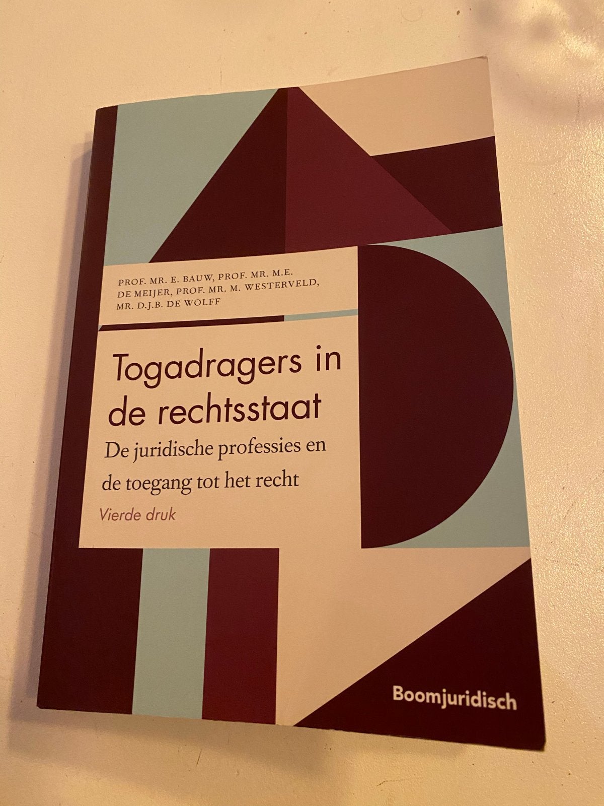 Togadragers in de rechtsstaat - Juridische professies, Ophalen of Verzenden, Gamma, Zo goed als nieuw, WO