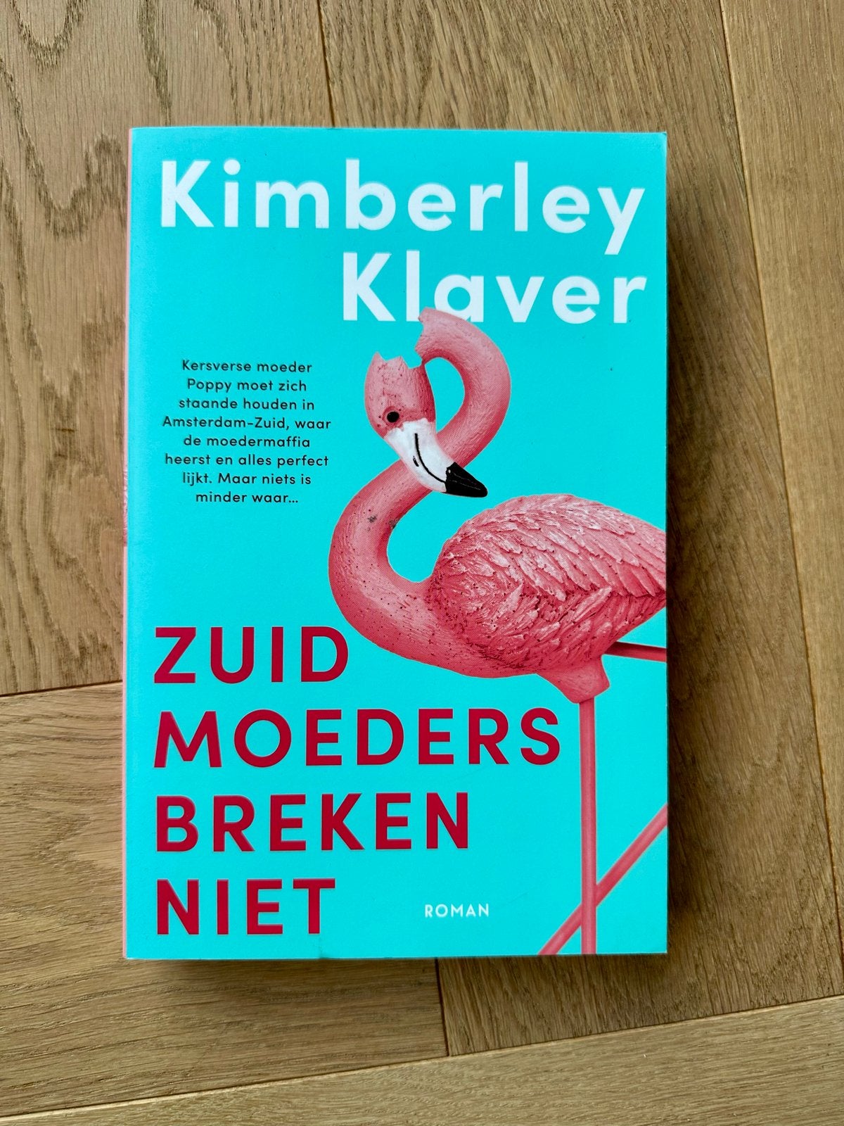 Zuid Moeders Breken Niet - Kimberley Klaver (Roman), Verzenden, Zo goed als nieuw, Nederland