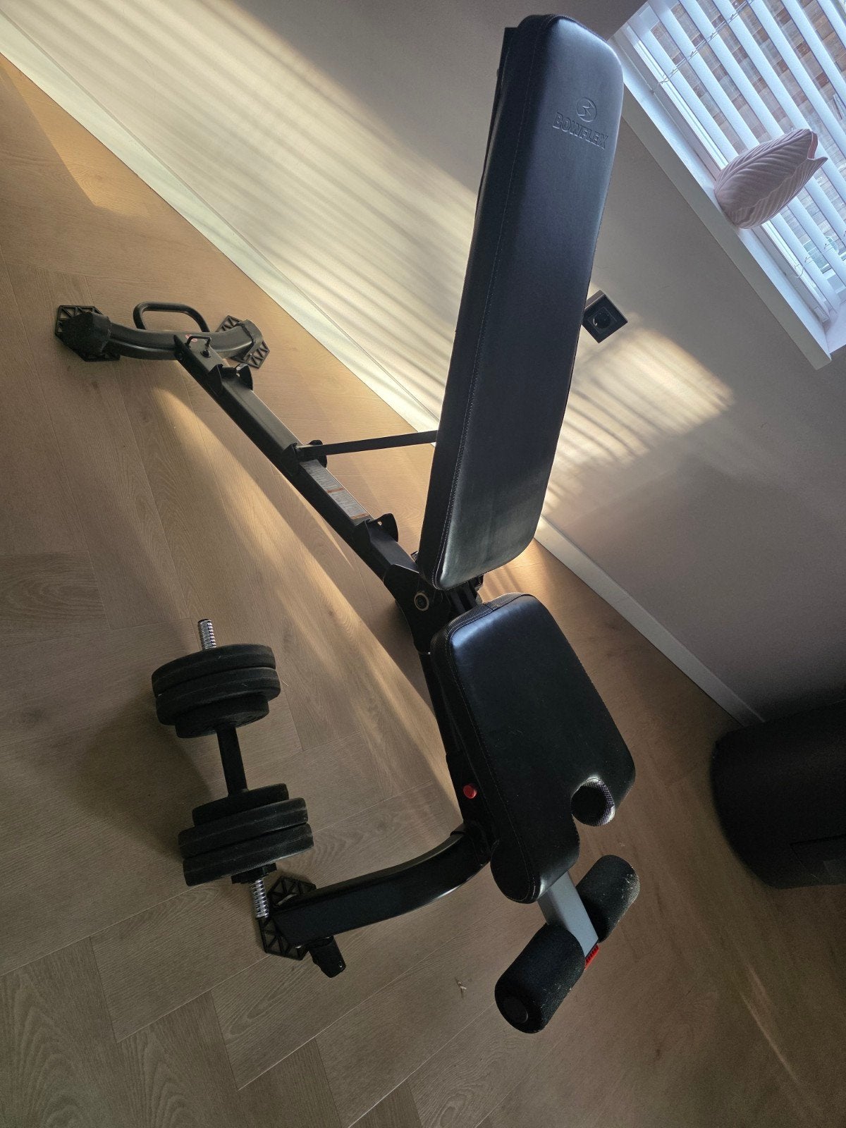 Verstelbare fitnessbank met dumbells, Ophalen, Gebruikt, Benen, Fitnessbank