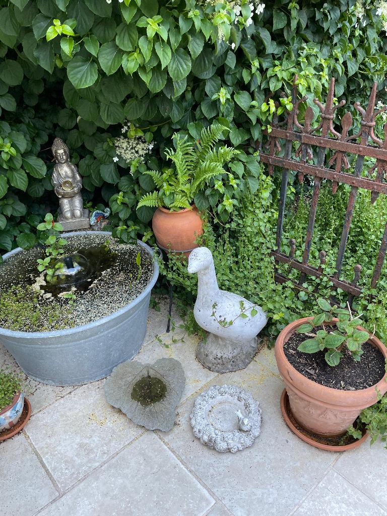 Vogelbad beton, Ophalen, Gebruikt