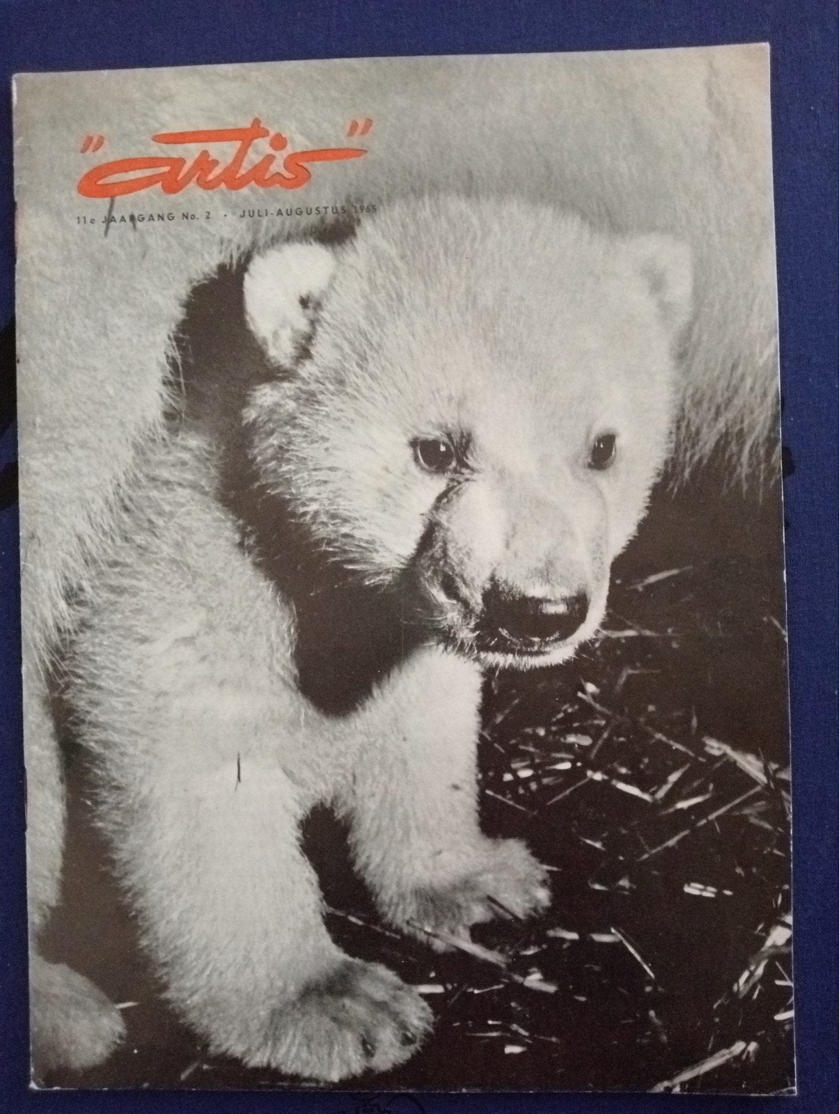 Artis Magazine Juli-Augustus 1965 - IJsbeerwelp, Ophalen of Verzenden, Gelezen, Overige typen