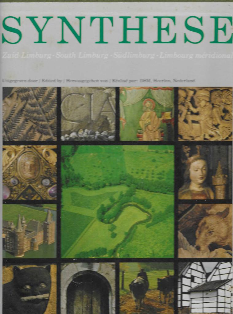 Synthese Zuid-Limburg, Boeken, 20e eeuw of later, Nieuw, Diverse auteurs, Ophalen of Verzenden