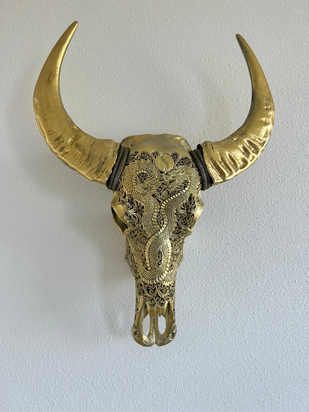 Indische Buffel schedel, Ophalen, Gebruikt, Overige soorten, Schedel