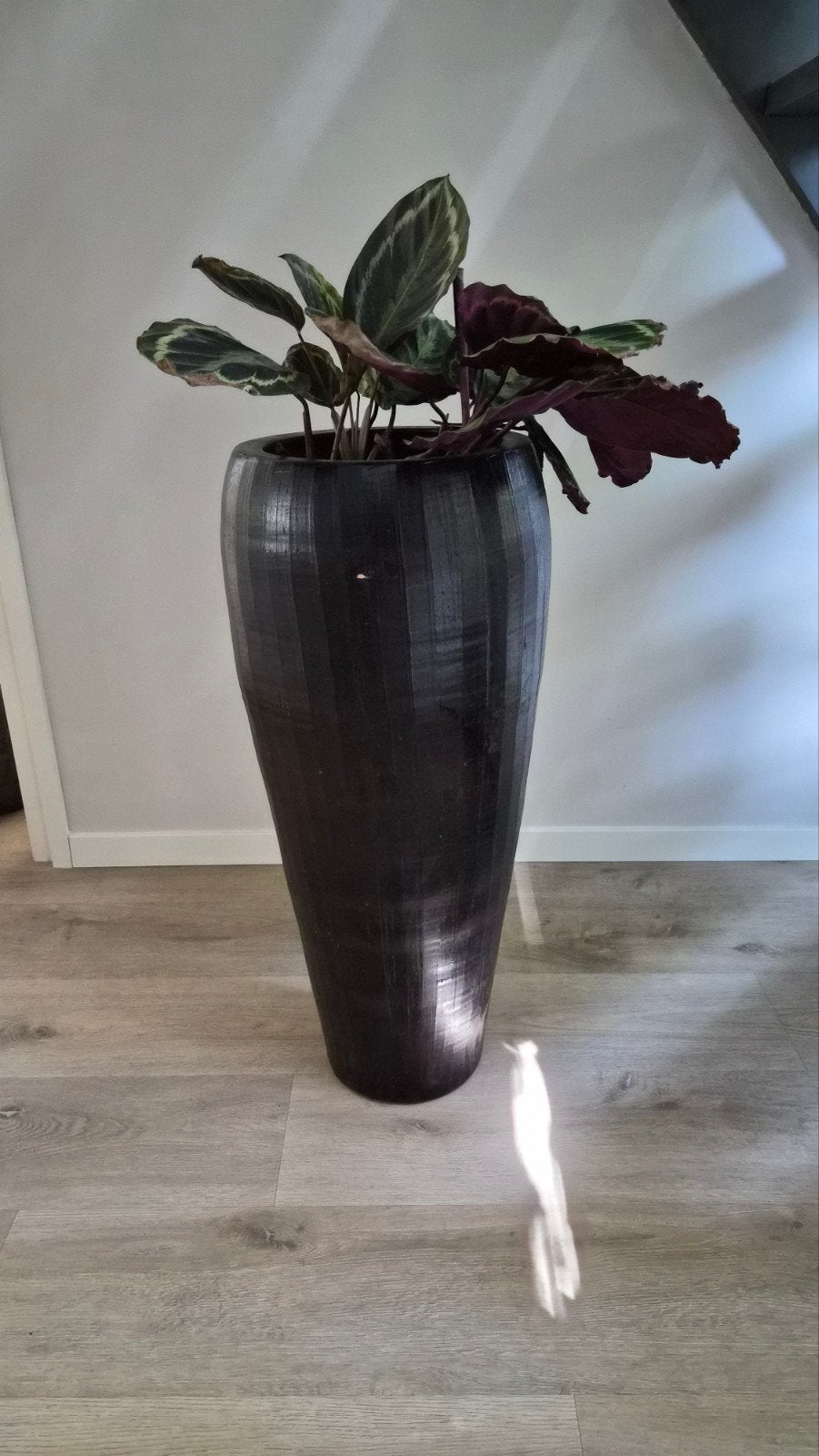 Hoge donkerbruine bloempot met structuur, Ophalen, Halfschaduw, Minder dan 100 cm
