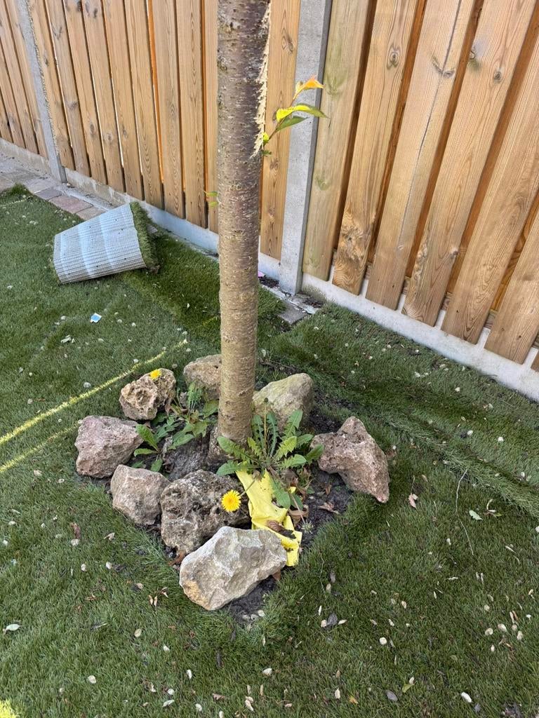 Natuurstenen GRATIS OPHALEN, Tuin en Terras, Ophalen, Graniet, Overige typen, Zo goed als nieuw