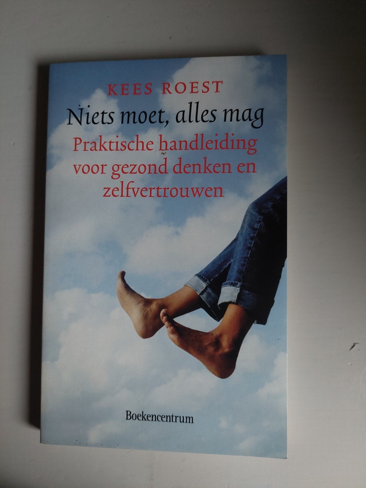 Niets moet, alles mag - Praktische handleiding, Boeken, Ophalen of Verzenden