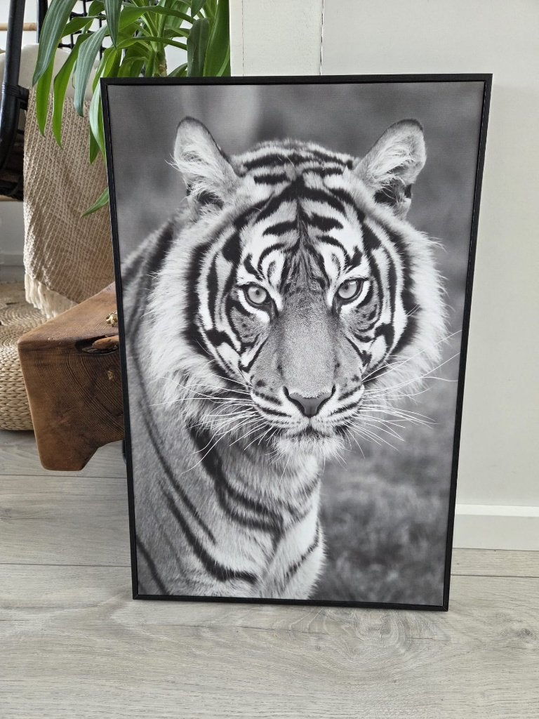 Grote canvas met tijger met lijst 57.5x37.5cm, Minder dan 50 cm, 50 tot 75 cm, Verzenden, Zo goed als nieuw