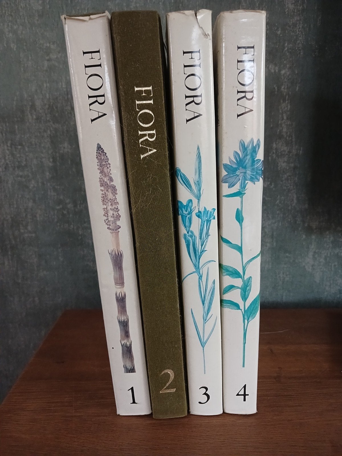 Nederlandse Oecologische Flora - set (4 delen), Boeken, Natuur, Ophalen of Verzenden, Gelezen, Bloemen, Planten en Bomen, Drs. e.j. weeda, r. westra, ch. westra, t. westra