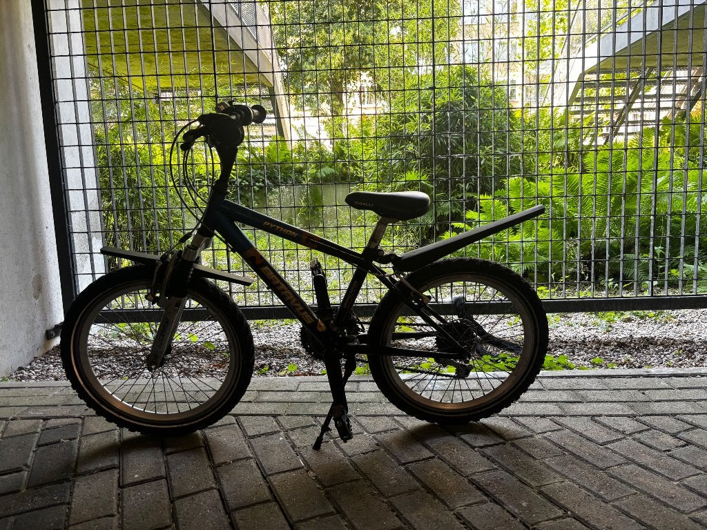 20 inch BMX fiets, Ophalen, Terugtraprem, Staal, Batavus