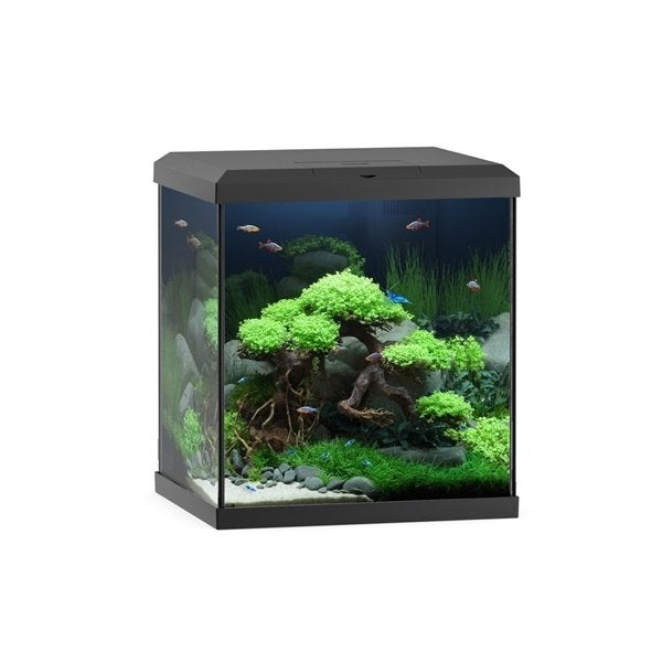 Juwel Aquarium Vio Cube 54 ltr. Zwart OP=OP, Ophalen, Juwel, Nieuw, Leeg aquarium