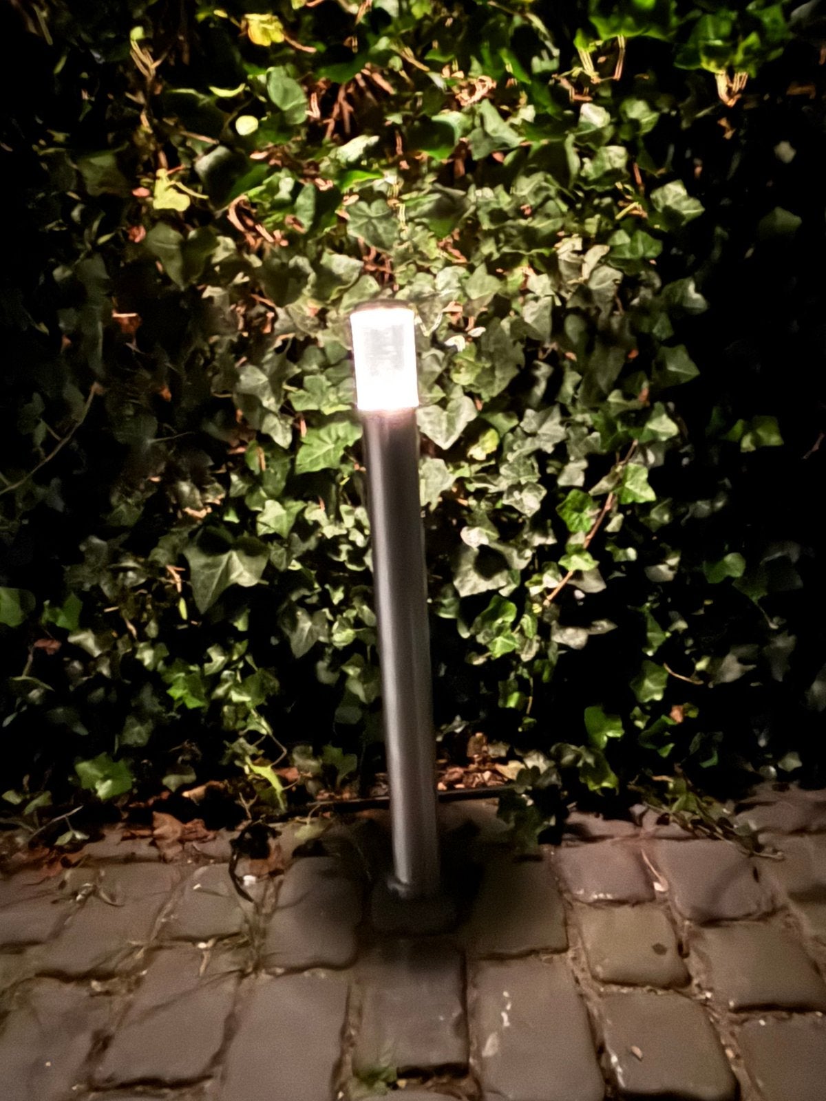 In-Lite LIV RVS Nieuw 65% KORTING, Minder dan 50 watt, Nieuw, Ophalen of Verzenden, Netvoeding
