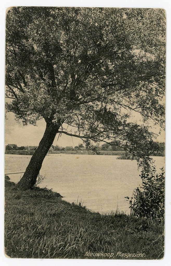 Nieuwkoop, Verzenden, 1920 tot 1940, Gelopen, Zuid-Holland