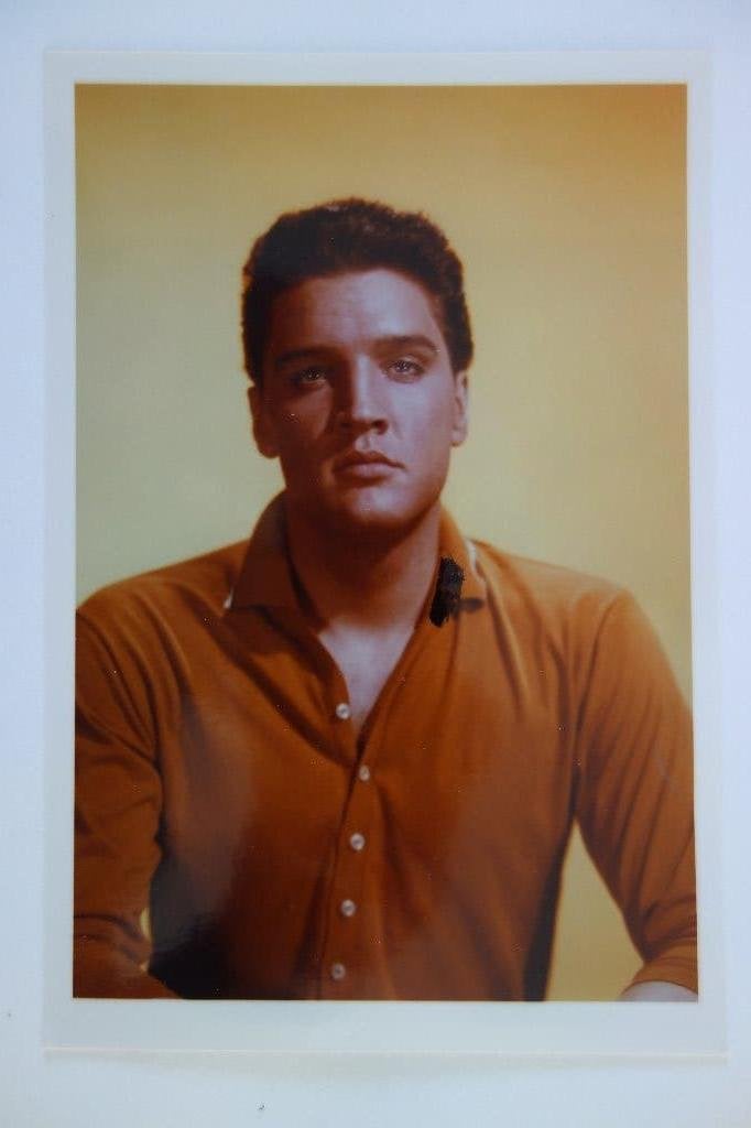 Elvis Presley intree ticket fanclub EFE, Verzamelen, Ophalen of Verzenden, Nieuw, Foto of Kaart