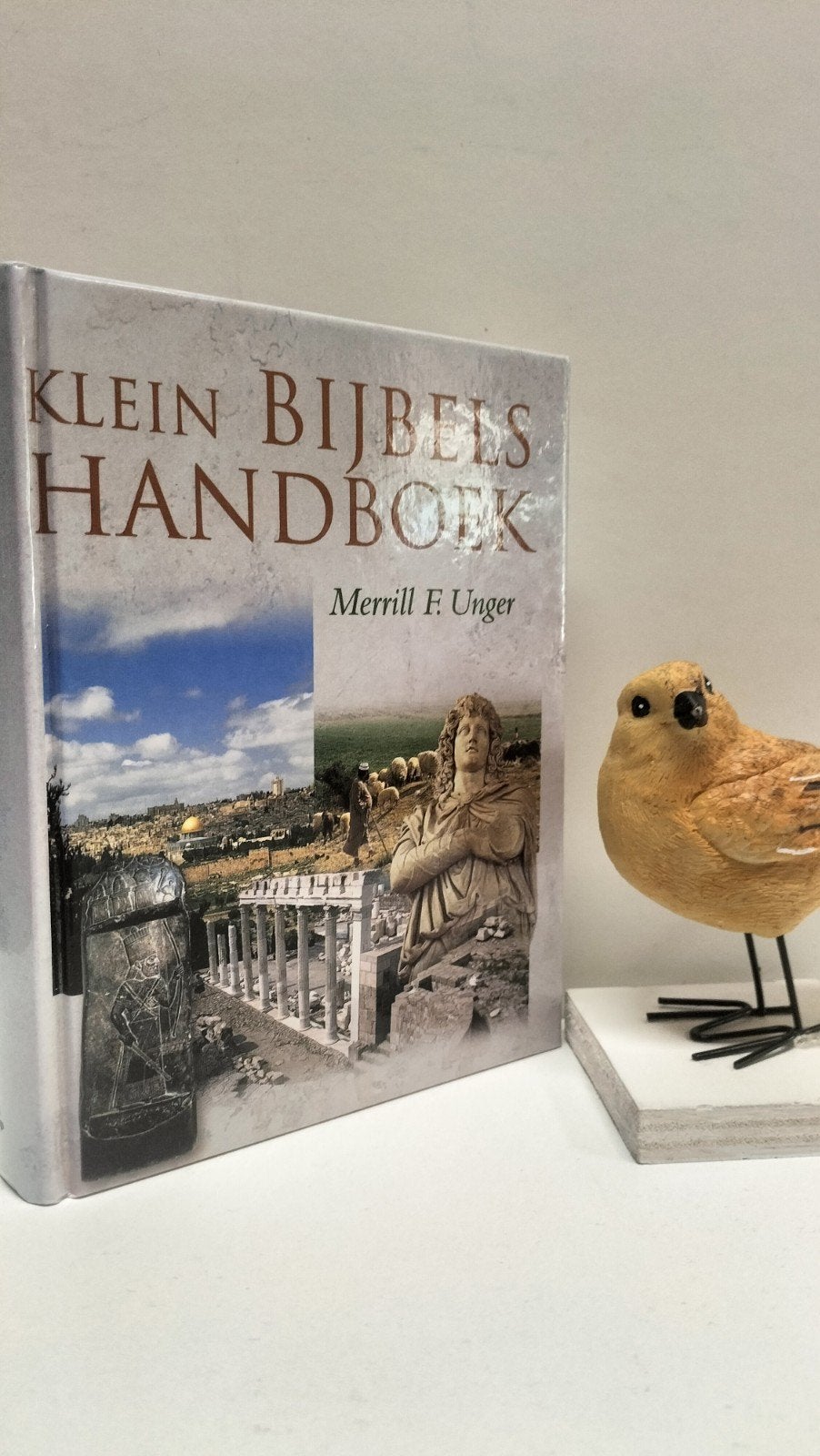 Unger, Merrill F.; Klein Bijbels handboek, Ophalen of Verzenden, Gelezen, Christendom | Protestants