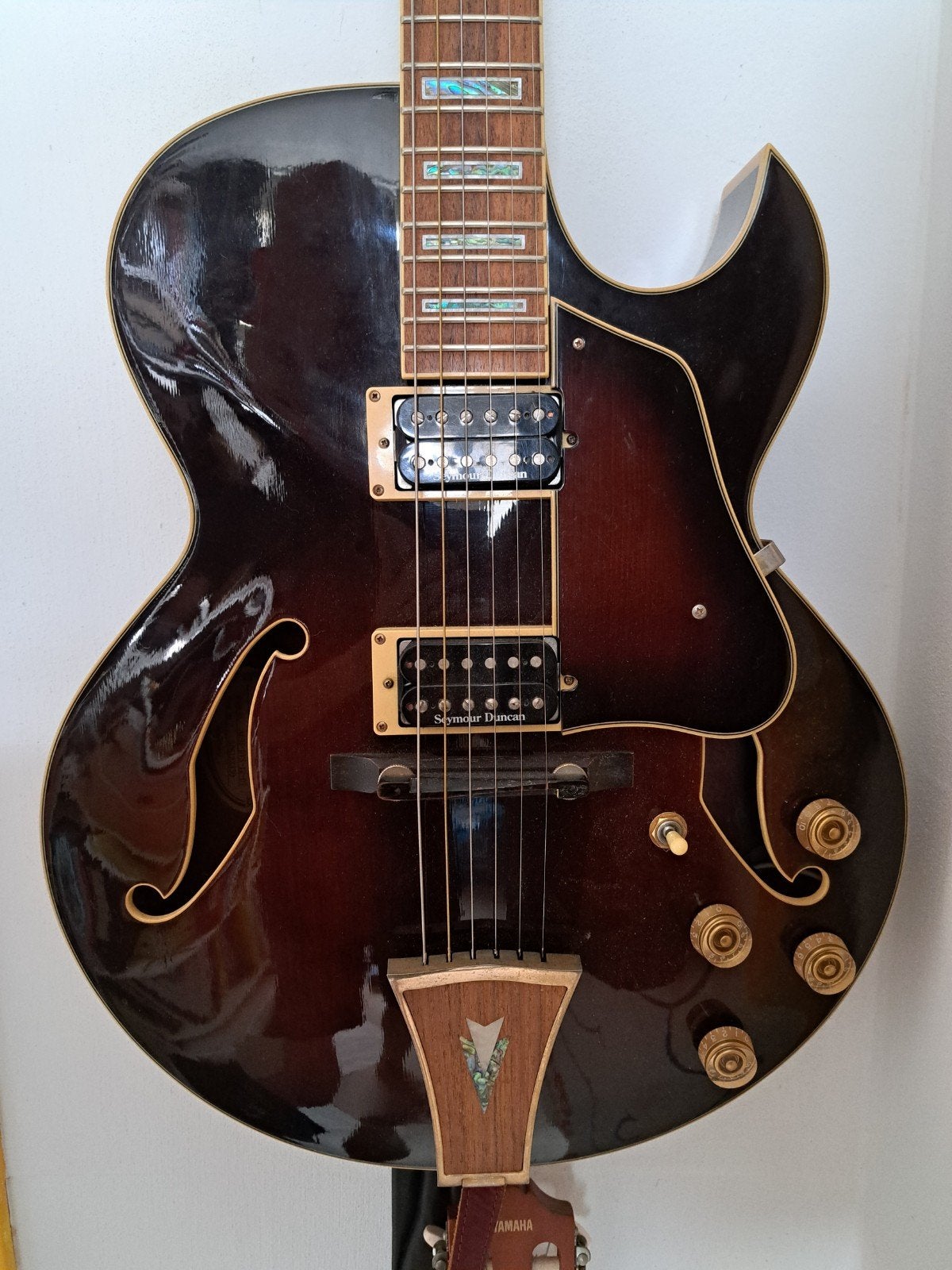 Ibanez AK95 Hollow Body met Seymour Duncan Pickups, Ophalen, Gebruikt, Hollow body, Ibanez