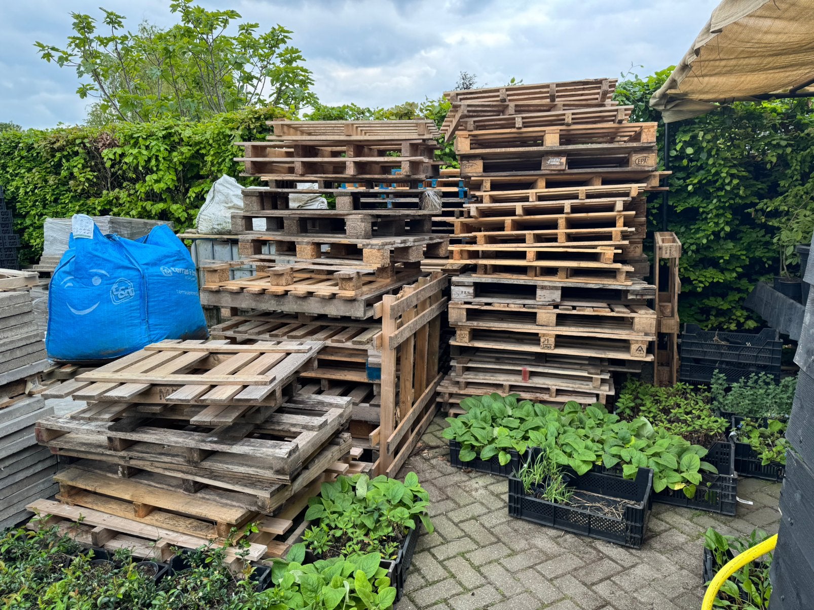 Gratis partij pallets (geen statiegeld pallets), Ophalen, Zo goed als nieuw, 50 mm of meer, Pallet