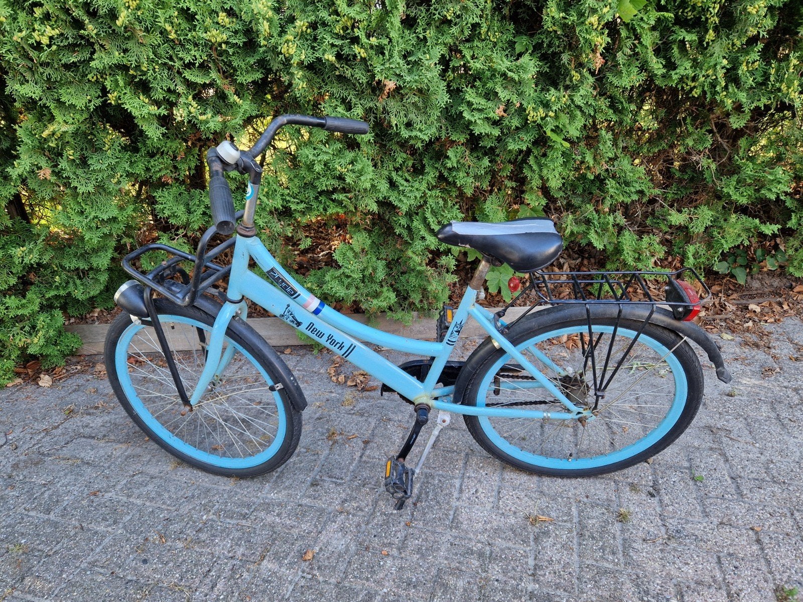 Leuke kinderfiets met voordrager - 24 inch, Ophalen, Terugtraprem, New York, Gebruikt