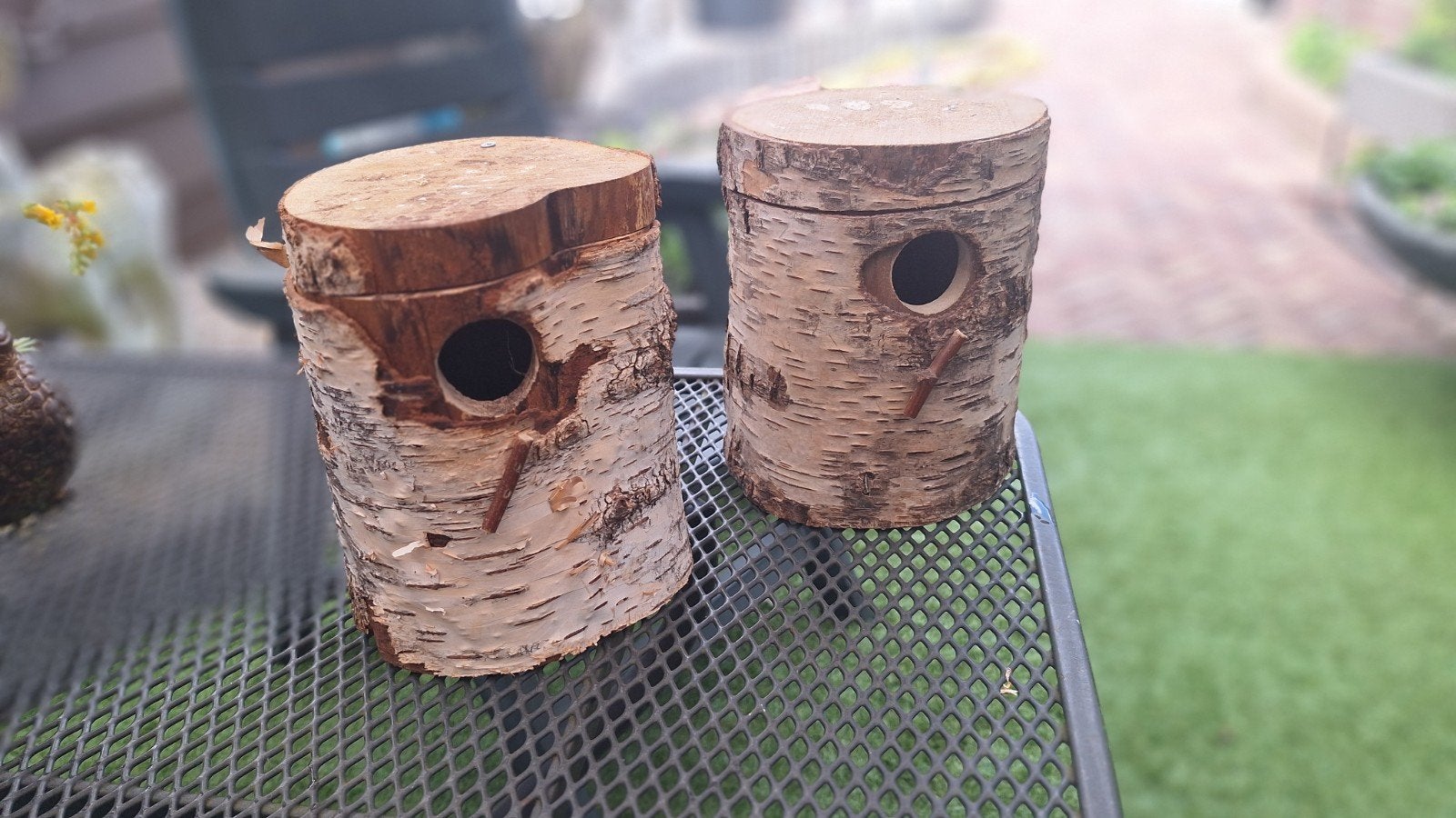 2 broedblokken, Meerdere dieren, Parkiet