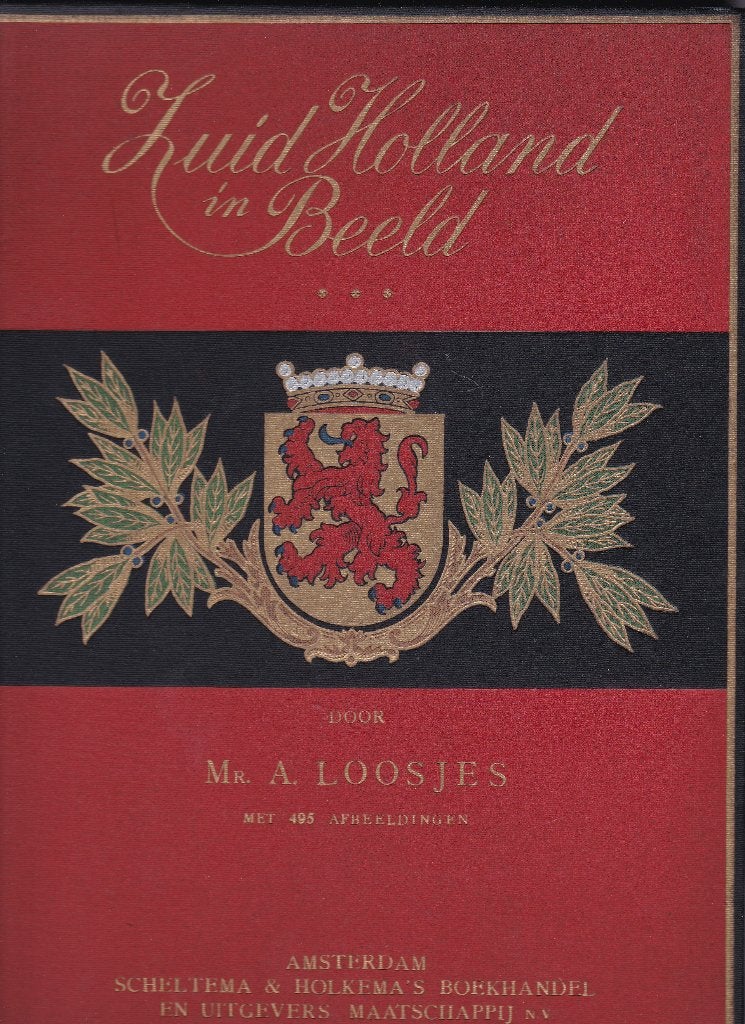 Zuid-Holland in beeld, Ophalen of Verzenden, Gelezen