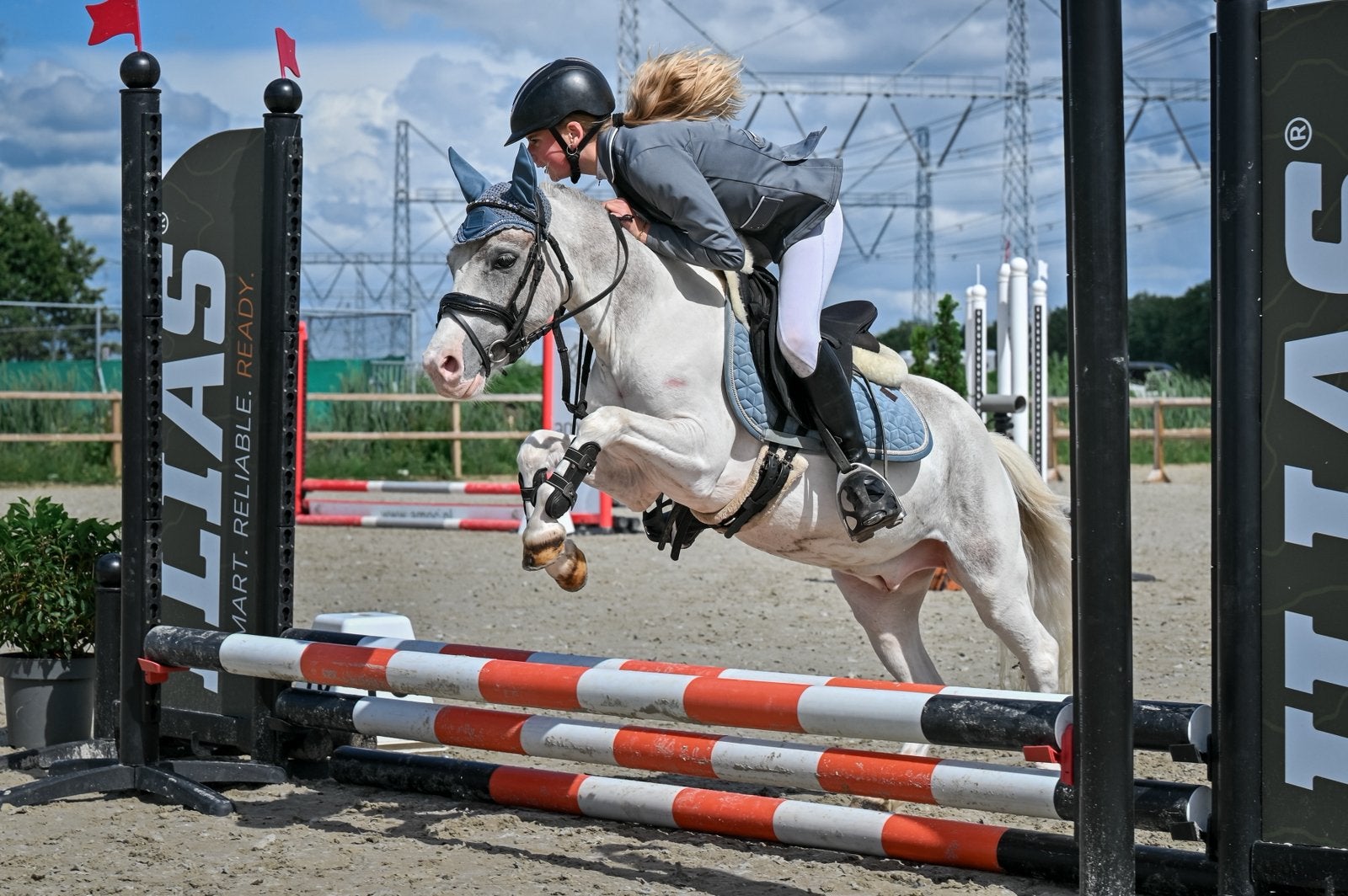 Betrouwbare beginnerspony’s , sportpony’s & Familiepony’s, Dieren en Toebehoren, Pony's, Ruin, 3 tot 6 jaar, B pony (1.17m tot 1.27m)