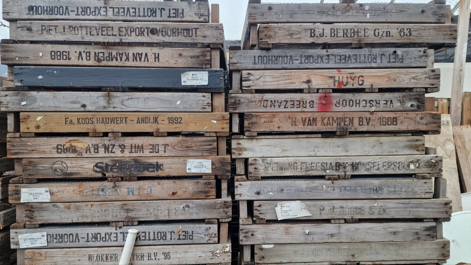 Houten gaasbakken - veel kisten beschikbaar, Ophalen, Gebruikt, 50 tot 75 cm, Minder dan 40 cm