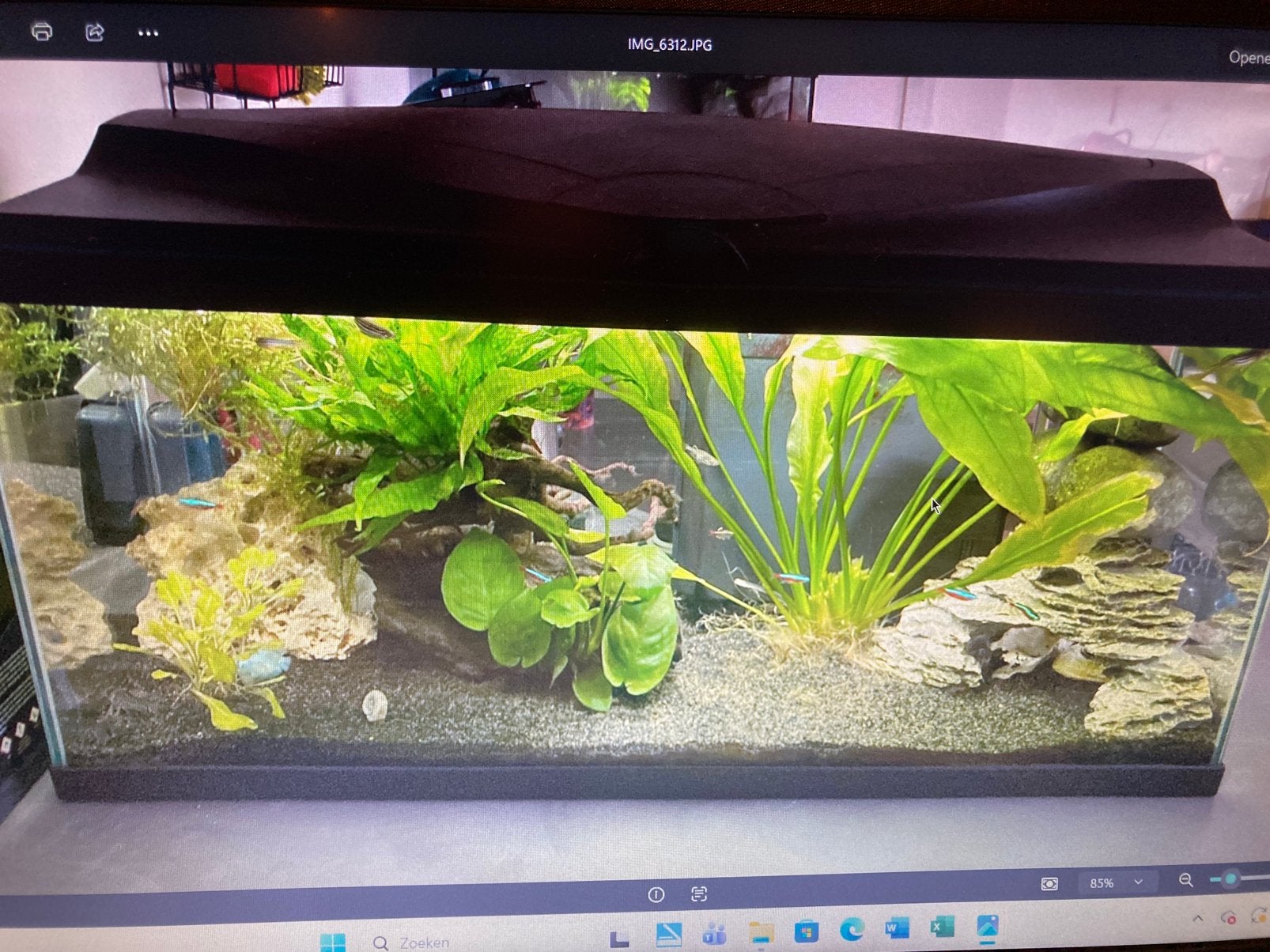 Ciano 80 led aquarium, Ophalen, Gebruikt, Leeg aquarium, Overige merken