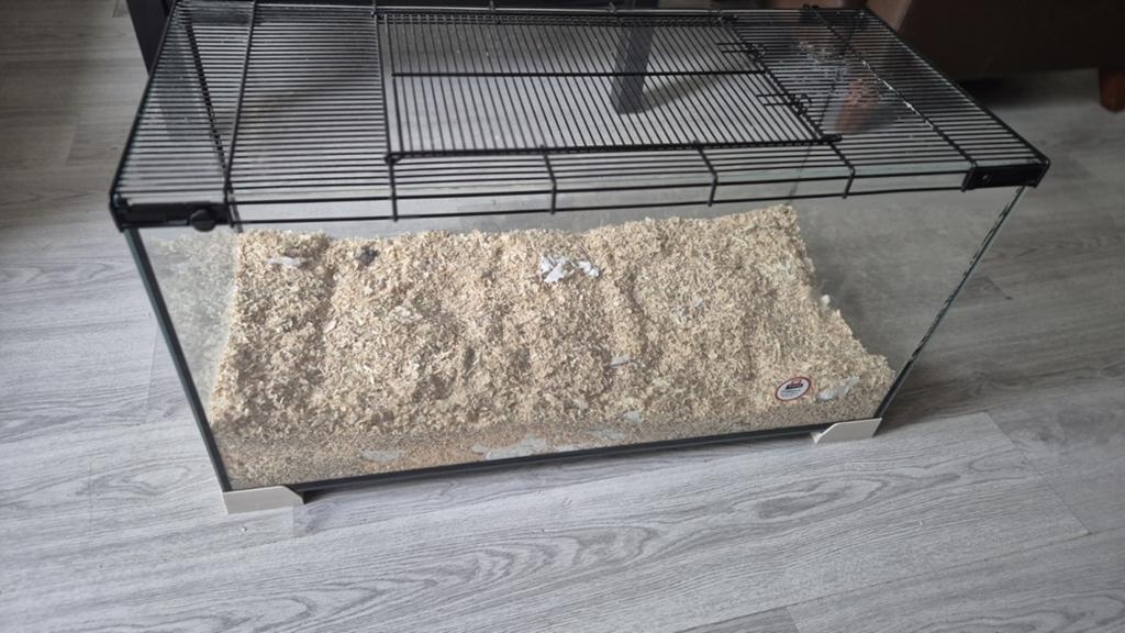 Hamsterkooi Ferplast Jerry 80, Dieren en Toebehoren, Minder dan 60 cm, Kooi, Gebruikt, Ophalen of Verzenden