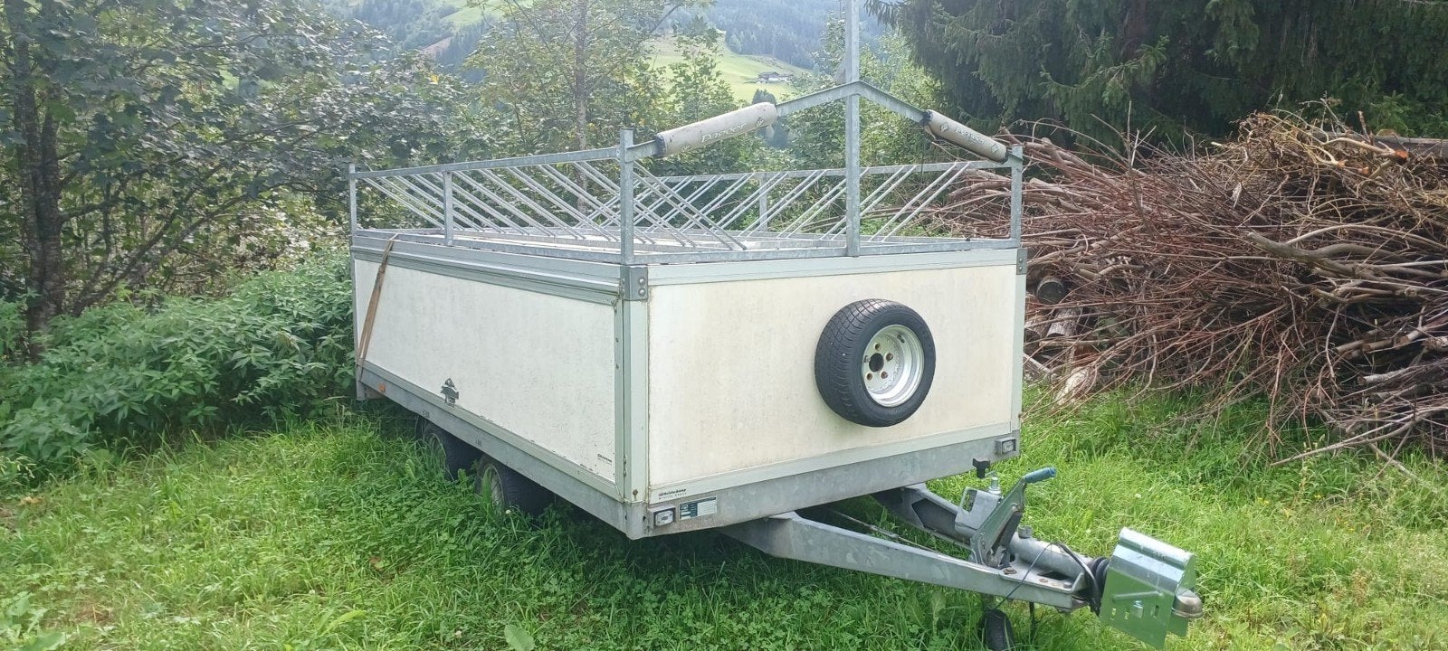 Prachtige aanhanger Fietstrailer Mountainbike trailer, Ophalen, Gebruikt, Hapert, 80 kg of meer
