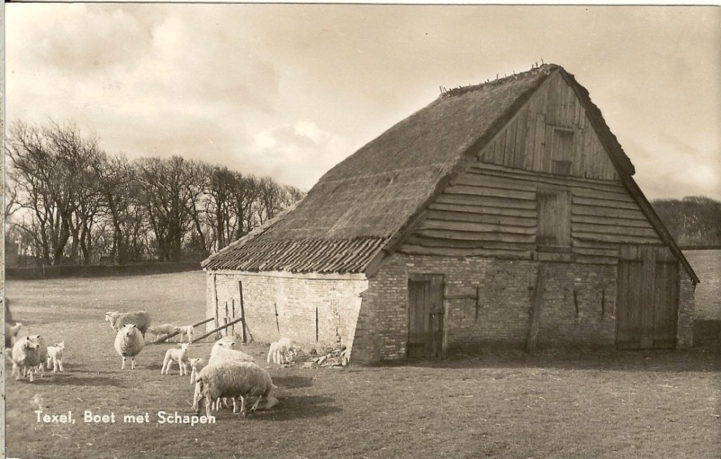NS173 Texel 1959 Boet met schapen  uitg: Rubens Mets Burg, Verzenden, 1940 tot 1960, Gelopen, Waddeneilanden