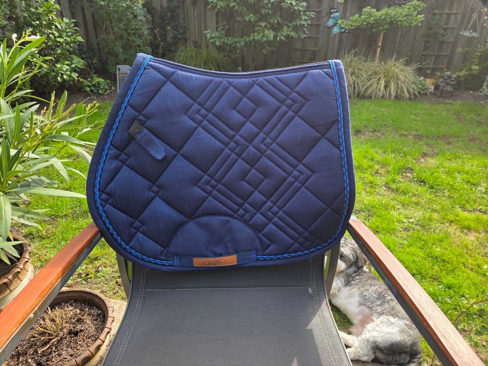 Blauw spring dekje shet, Ophalen of Verzenden, Nieuw